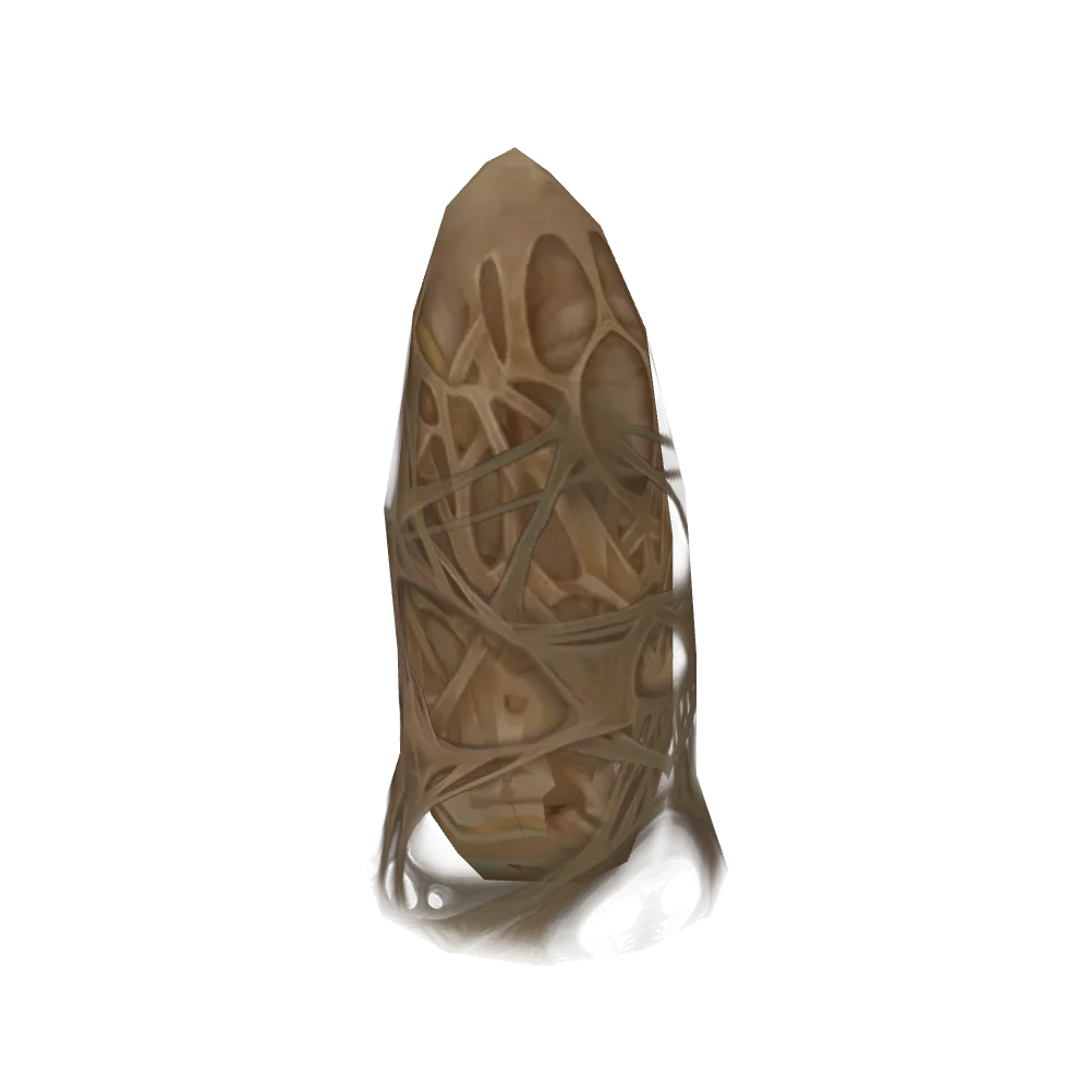 Dormant Brood Egg