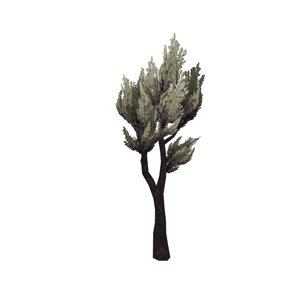 Small Shadowmoon Shadebrush