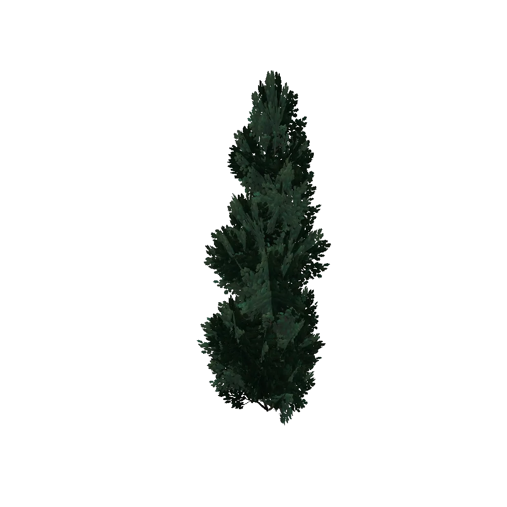 Overgrown Valuun Shrub