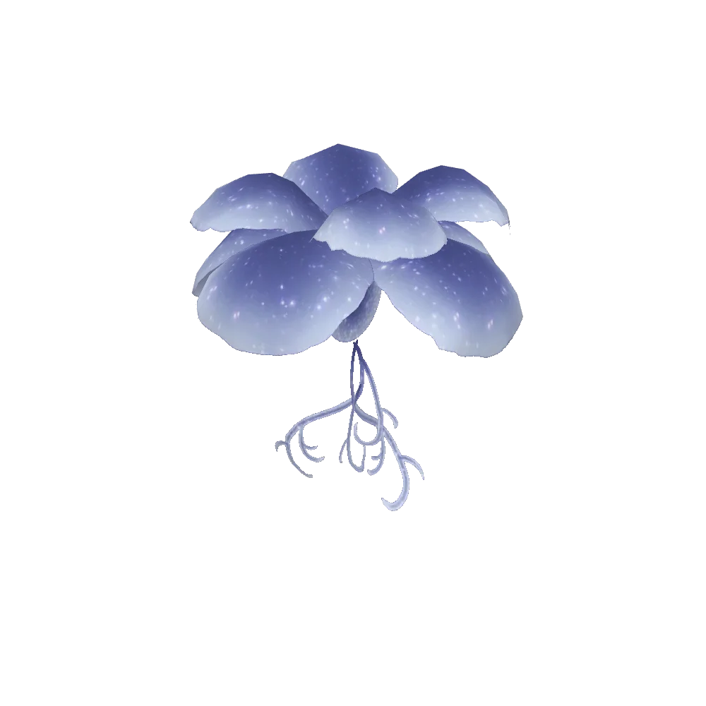 Mature Star Lily
