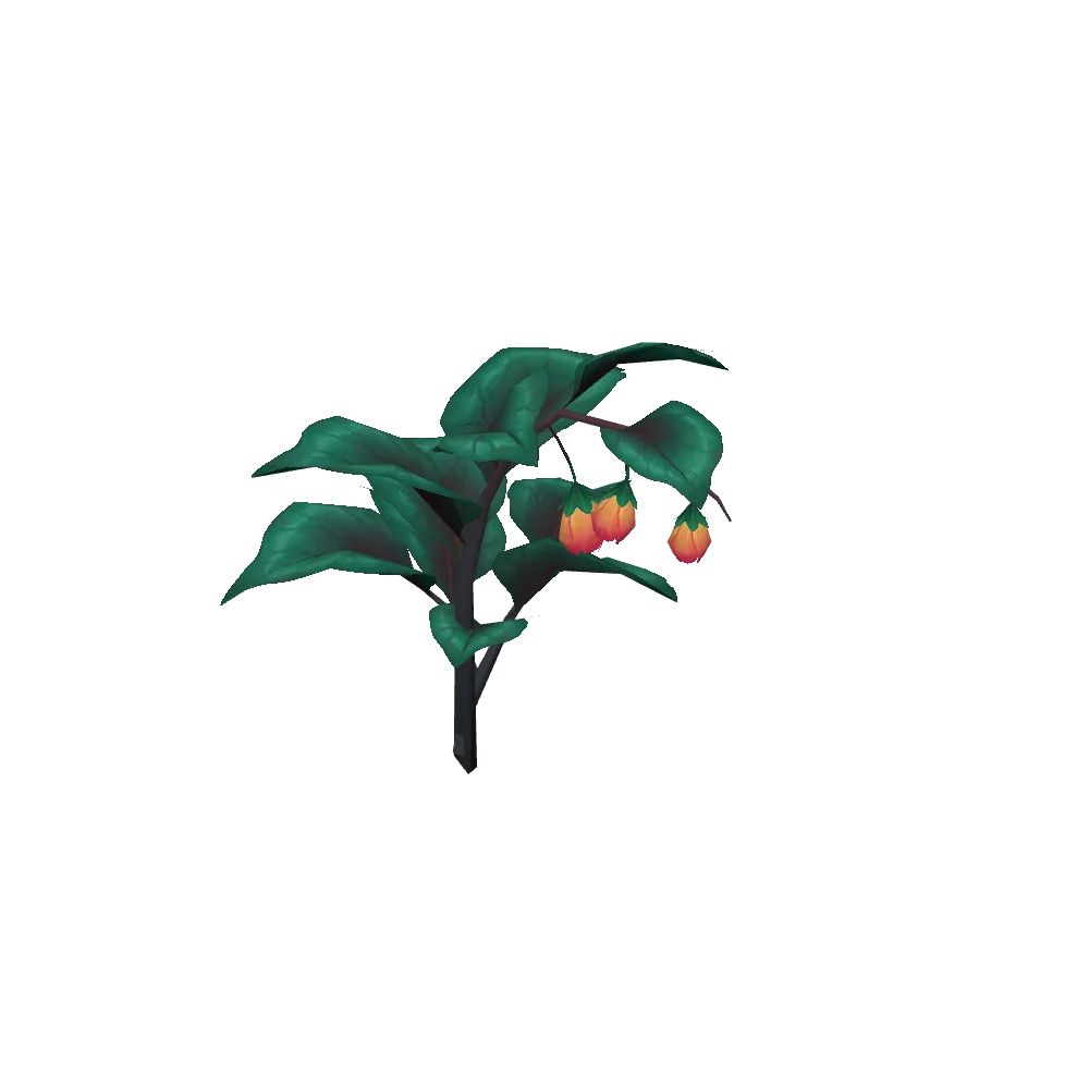 Huddled Nightmarsh Blossom