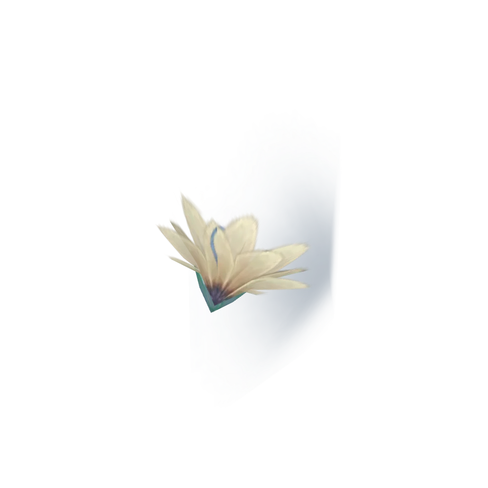Shadow Lily Bloom