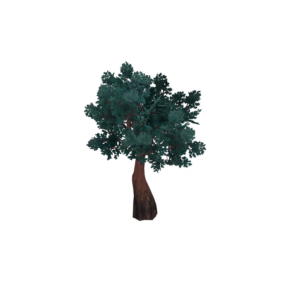 Karabor Beech Tree
