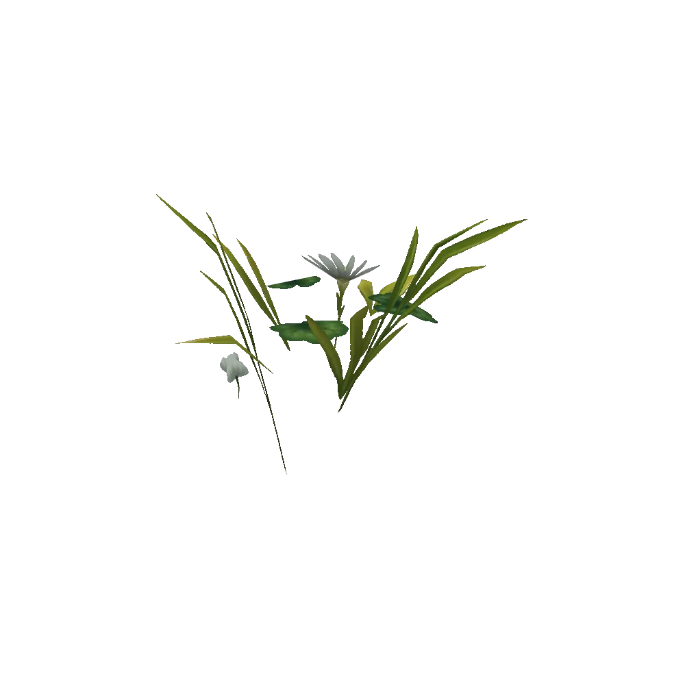Nagrand Clover Cluster