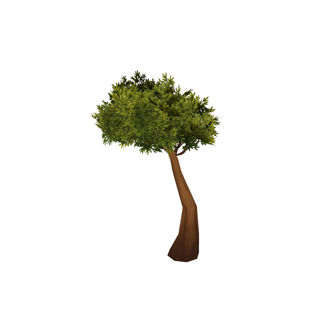 Young Sentinel Tree
