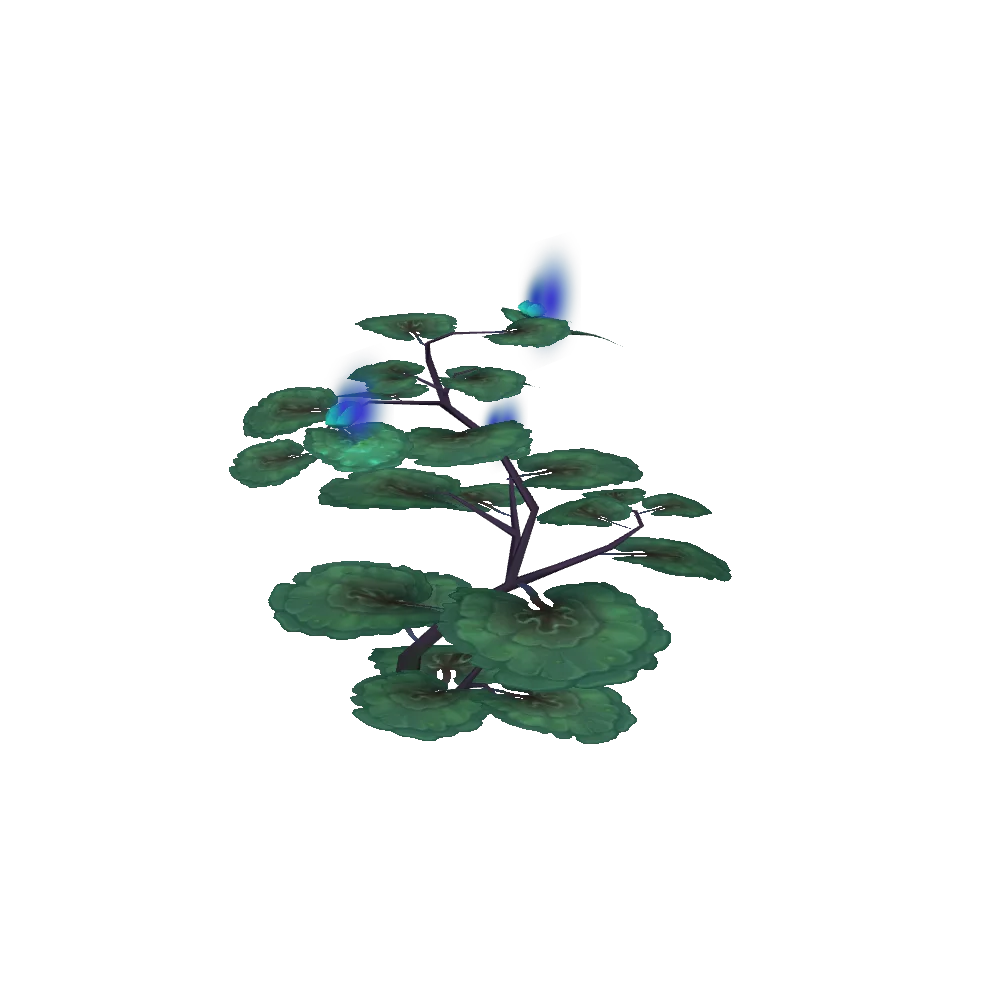 Kalandrios Lily