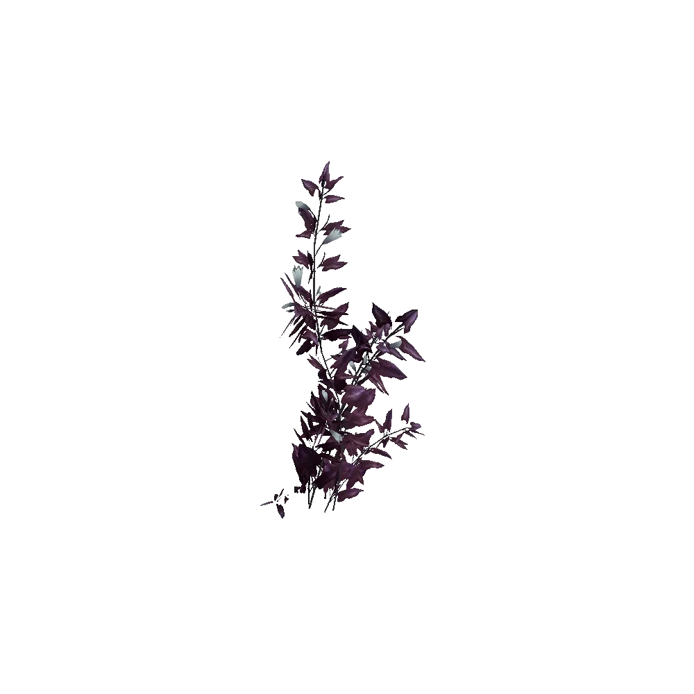 Nagrand Heart Ivy
