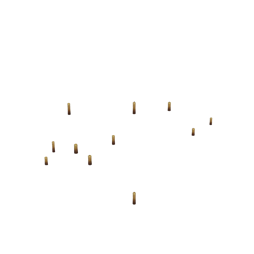 Ayada's Candillusions