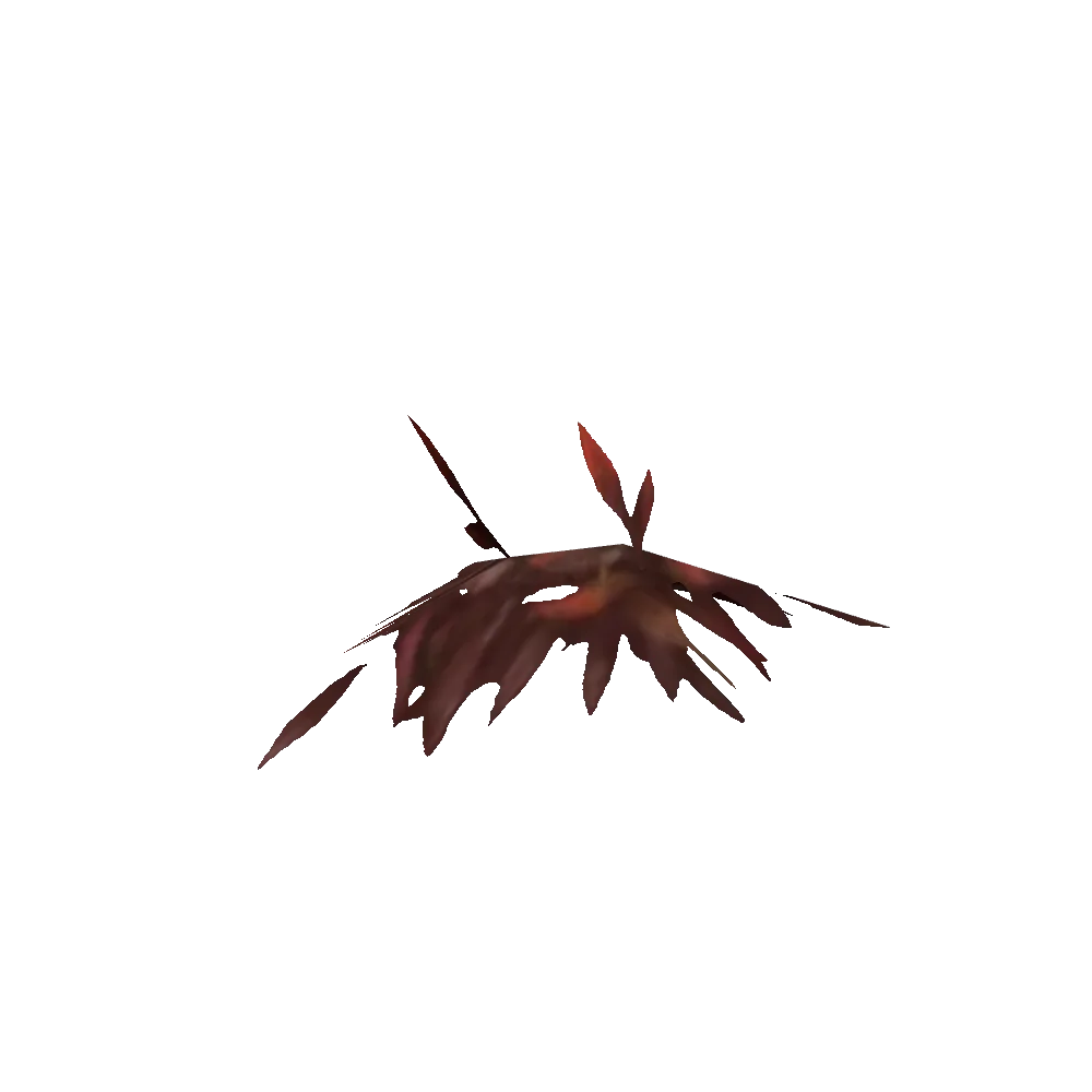 Drustvar Leaf Clump