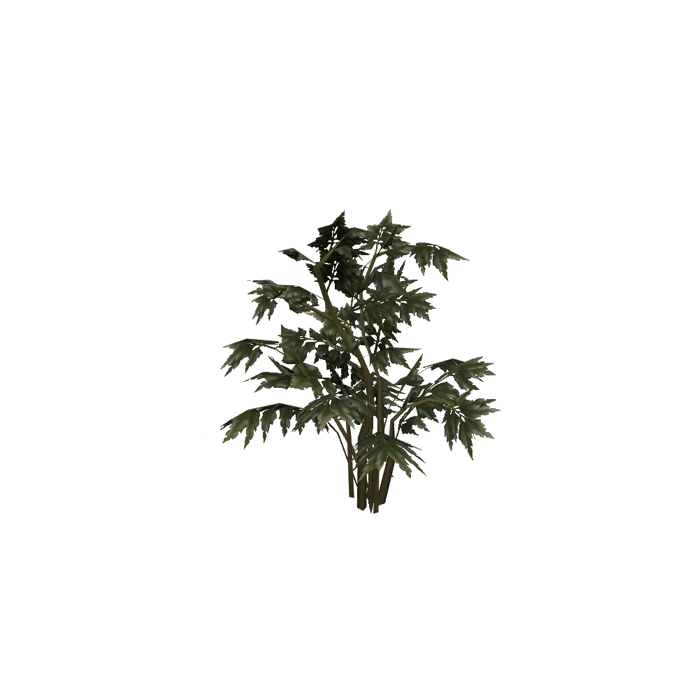 Withered Barrow-weed