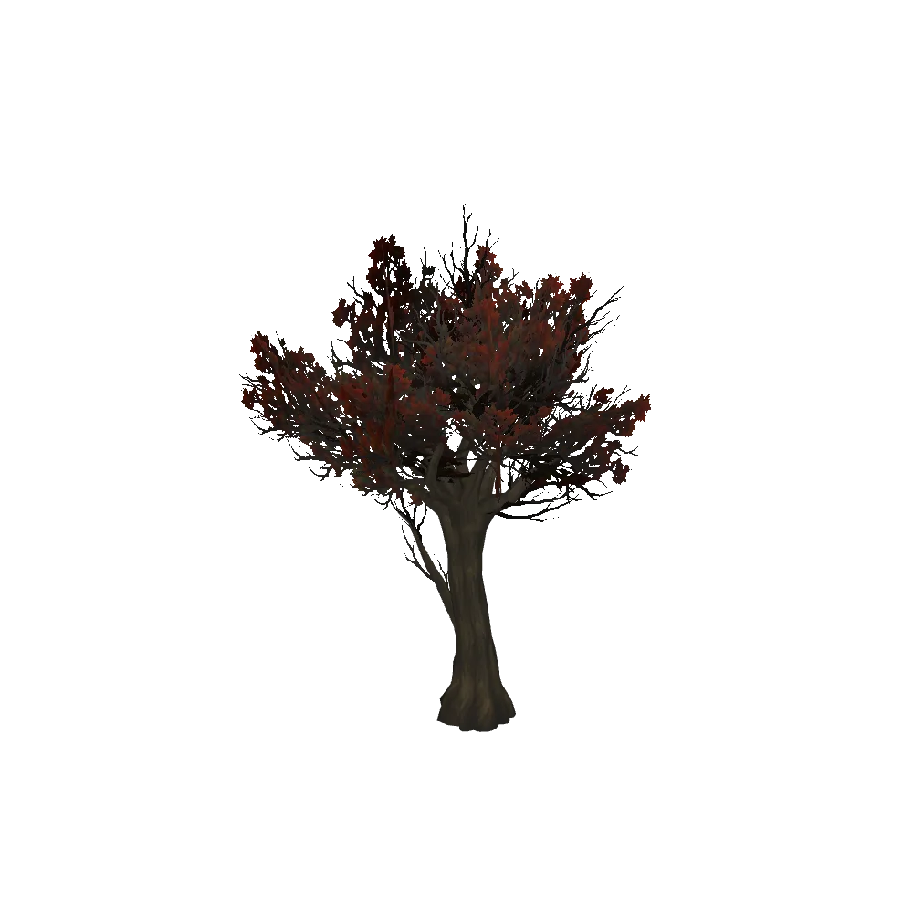 Scarlet Drustvar Oak