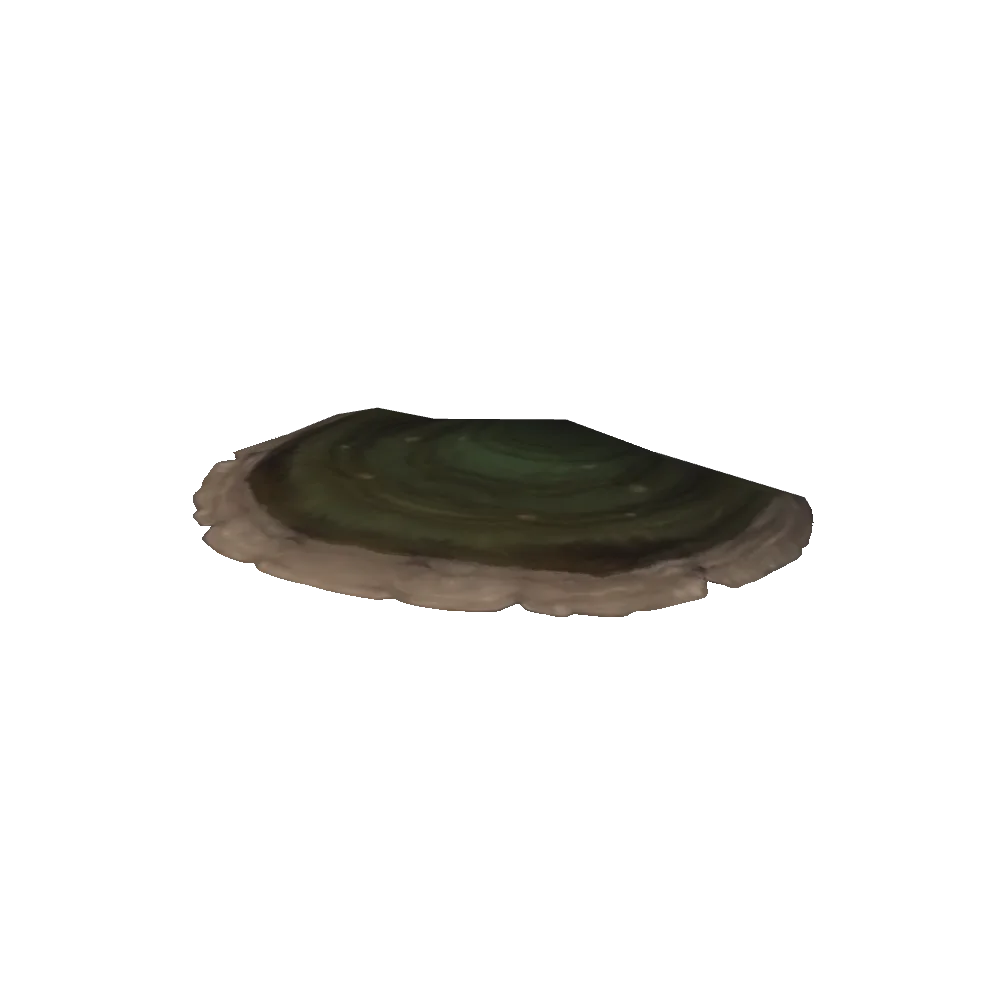 Drustvar Shelfcap