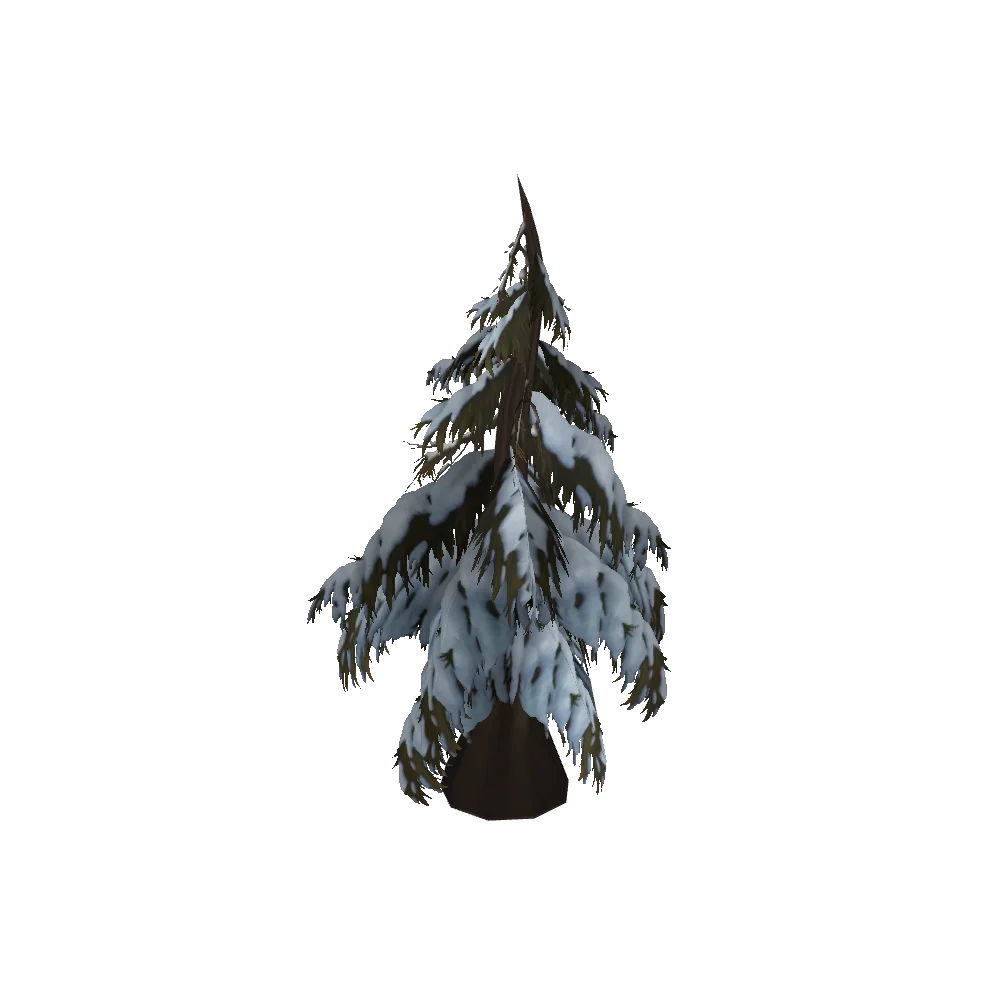 Snowbound Highroad Pine
