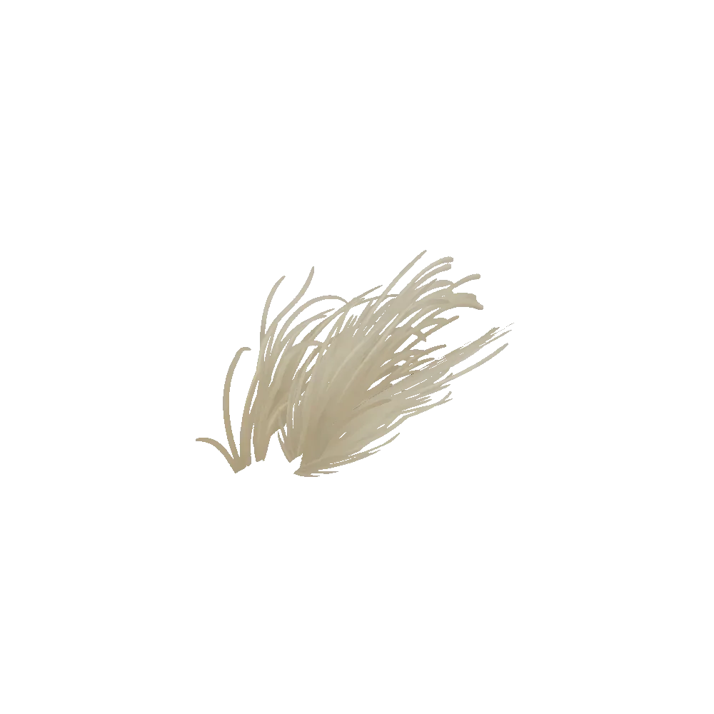 Windswept Elysian Grass