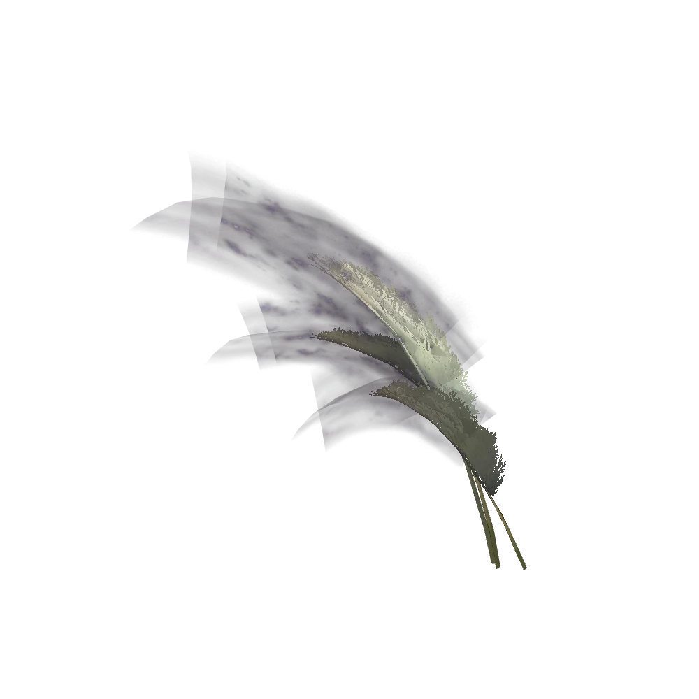 Windswept Elysian Skyplume