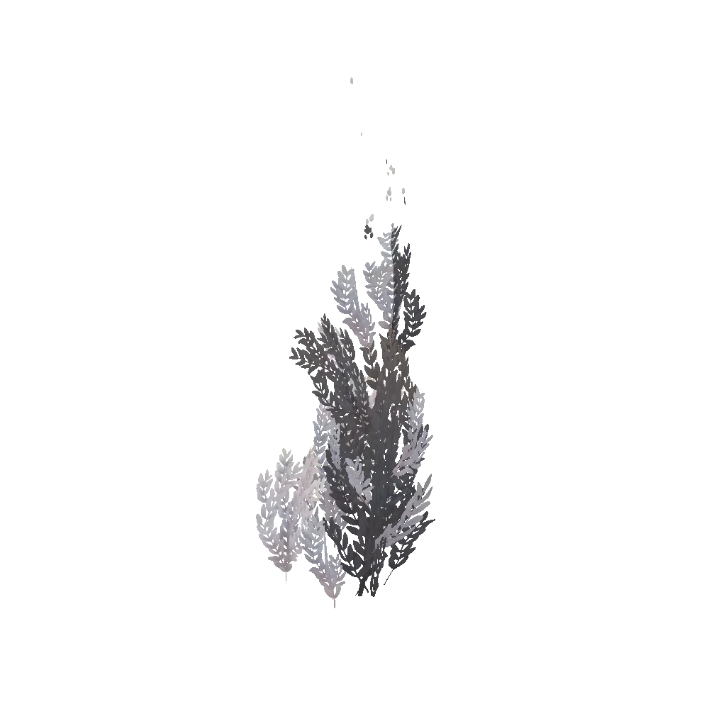 Windswept Elysian Shrub