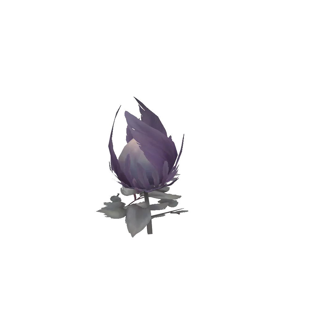 Elysian Bulbflower