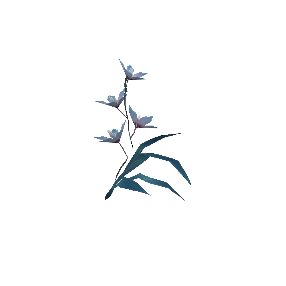 Leaning Celestial Orchid
