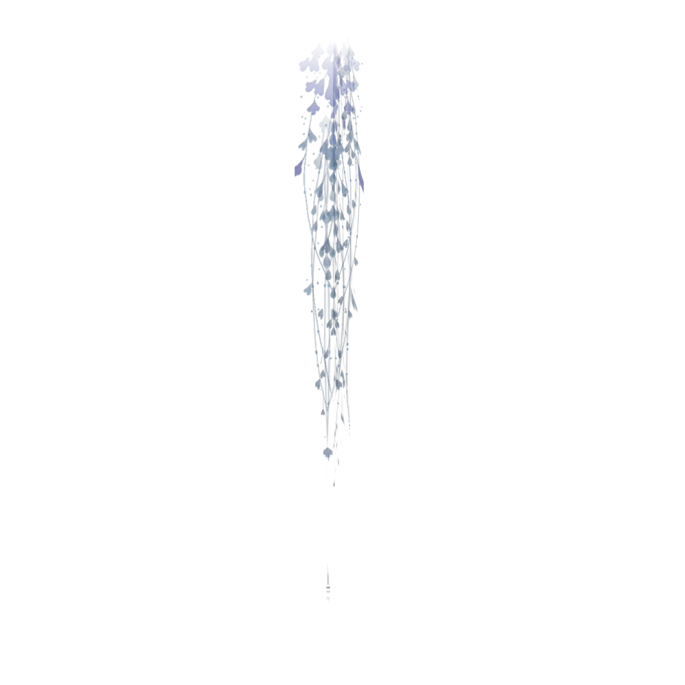 Small Shimmering Moonvine
