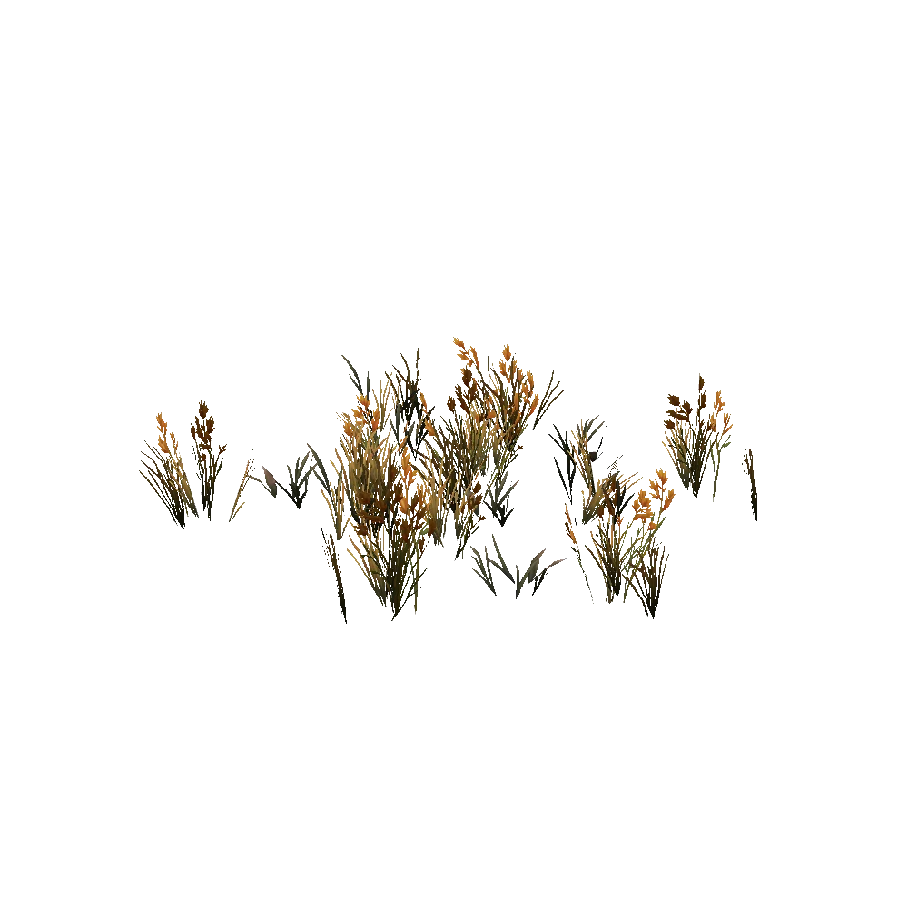 Incineratus Grass Patch