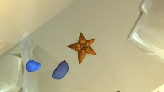 Starfish
