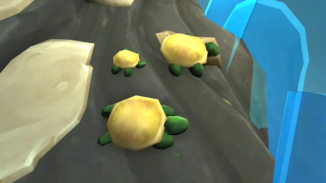 Turtle