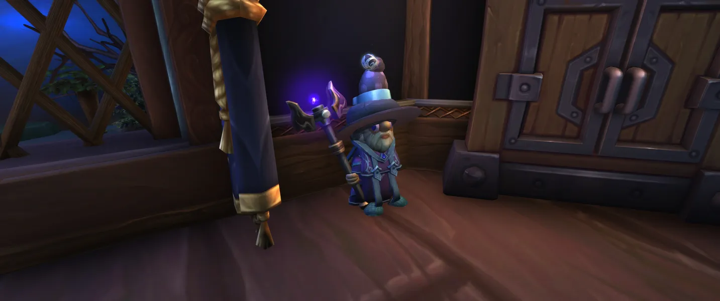Gnome mage